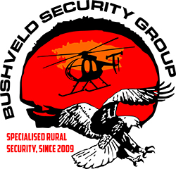 BSG Logo 1